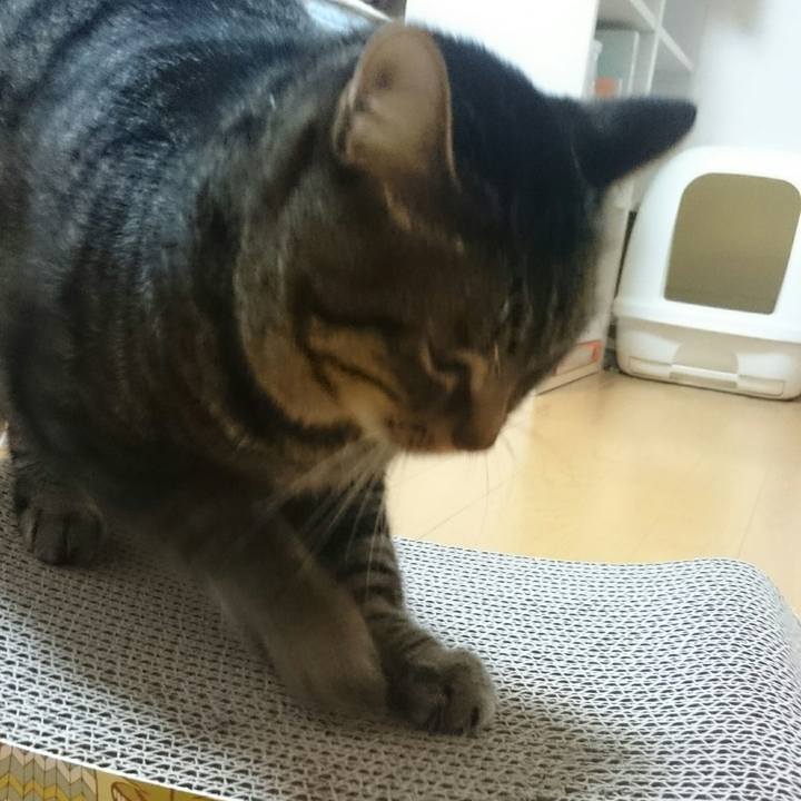 D1a85f71 f863 468b a07a b17addb9aac0