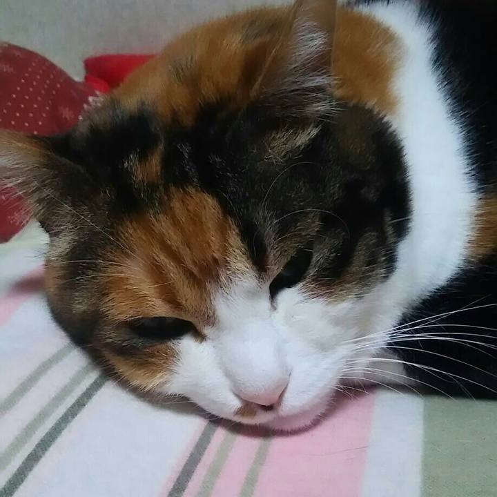 D1a876bb 5c3f 47b2 b0bc 568a721af9fe