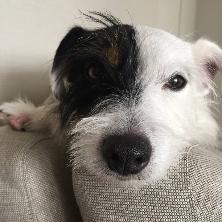 D1a8a0aa e01b 483c aa3b 94da24d78ac6