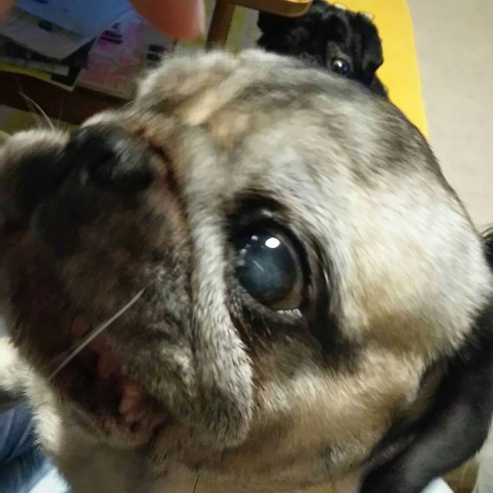 D1a8f940 d312 4c65 a58f 86fb5ce00e90