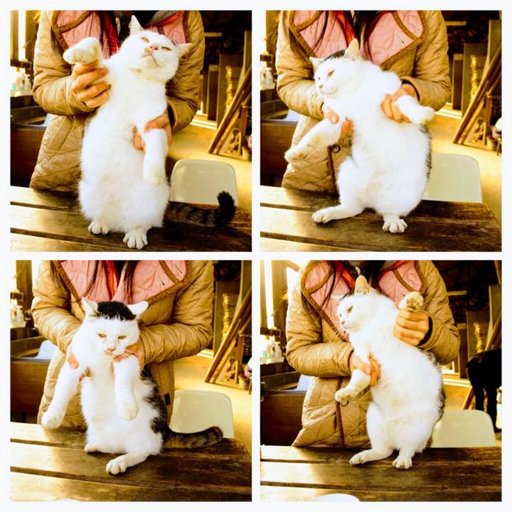 D1a95088 12dc 4ccd ad0f 247520dbc589