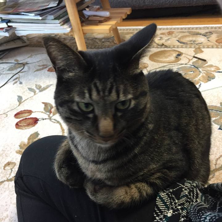 D1aa08d8 92d7 4427 b1b6 d5b39127c5c5