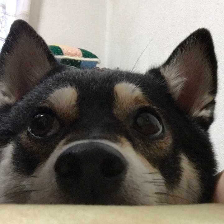 D1aae198 a314 40f8 92b1 3fb260c09a12