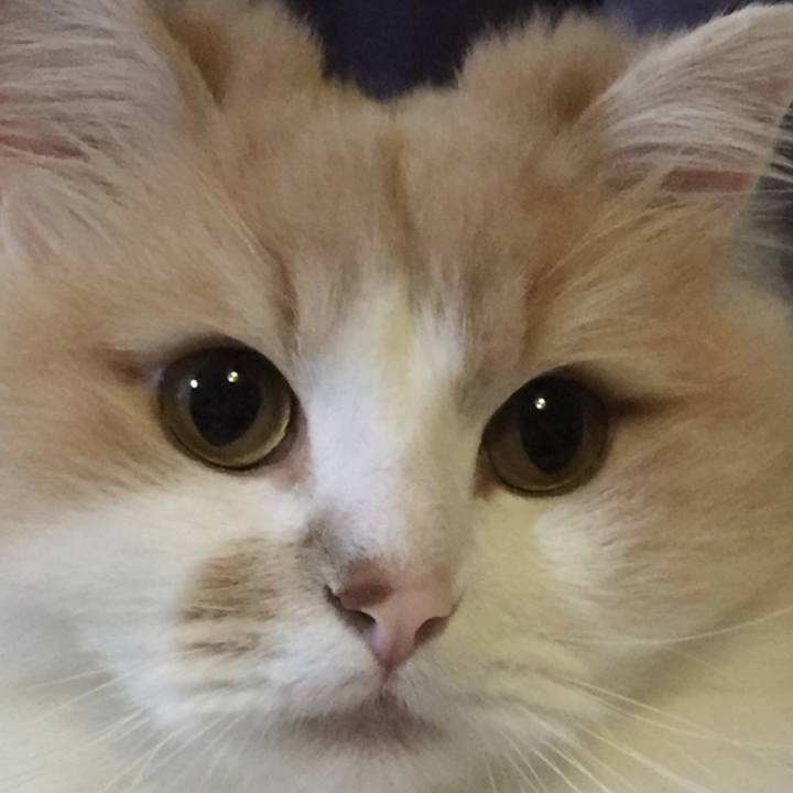 D1ab215b 8ed6 4c17 a0be de486dbb93cc