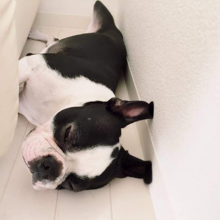 D1ab289f 2d2c 4f83 99d4 761c0cd2bd06