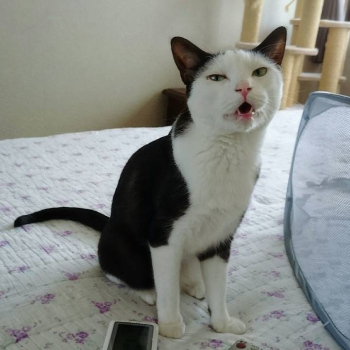 D1ab8343 6ab2 494e a7ed 02a8e52fca73