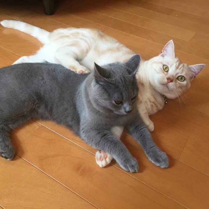 D1abfeeb e722 46f9 92d4 bc3d881eda30