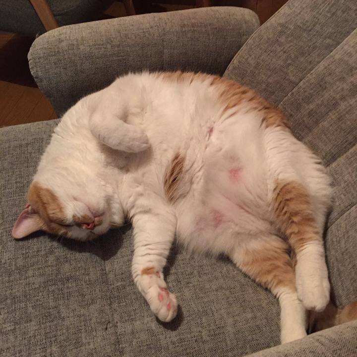 D1acdff6 9182 4dda aebe 6a4cdc92d2ad