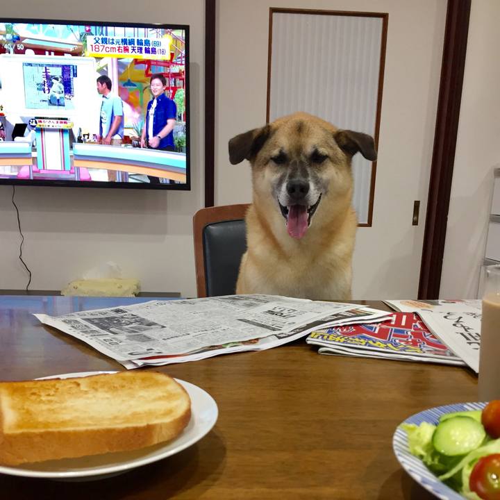 D1ad206d 591a 41aa 84fe d759e20a83ee