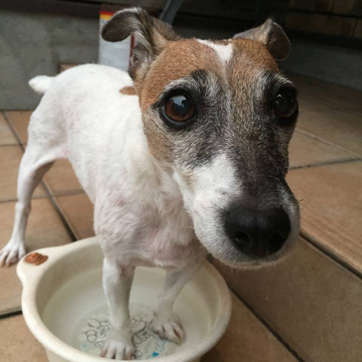 D1ad2cea 1b25 4455 9961 b48febd1638b