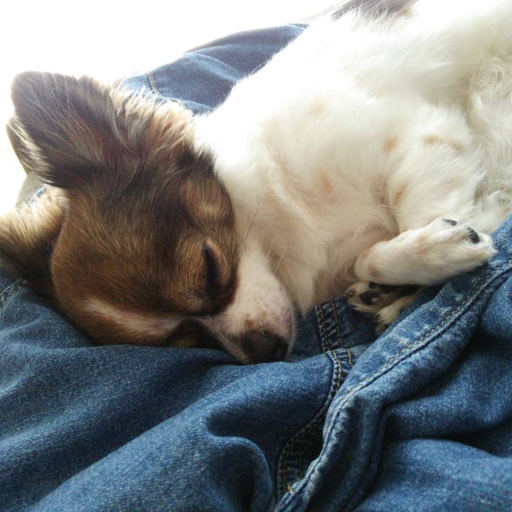 D1ad5fc6 8d73 4b06 aa5d daefba3a135a