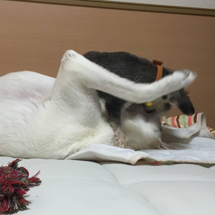 D1ad6204 a3bc 42f1 84d8 b7fce4802082