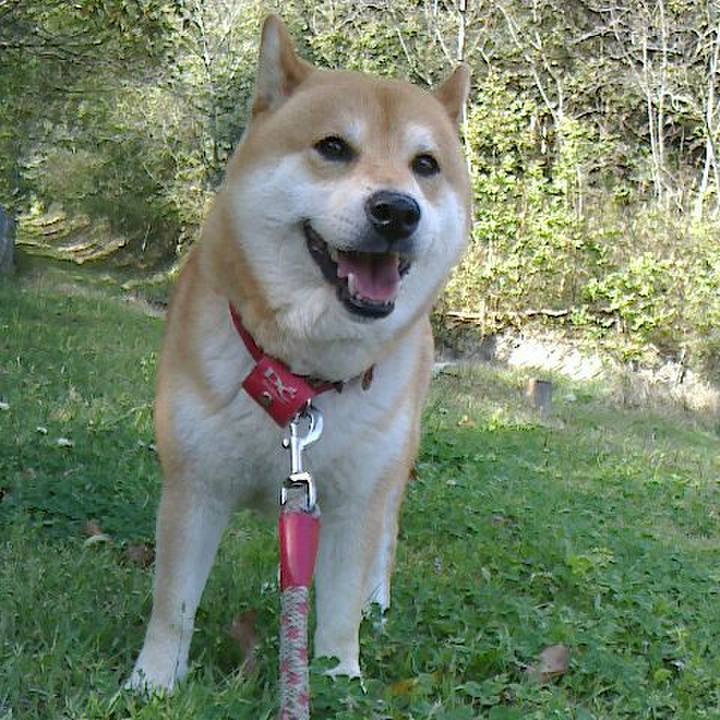 D1ad7c62 db09 4a83 b87f fcd62db117ad