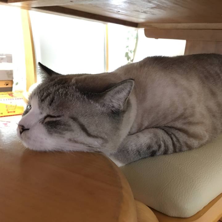 D1ae017a 9377 42b8 ad0d 5674f61c94d2