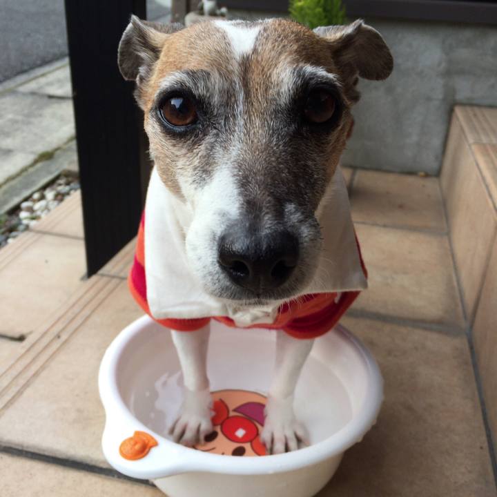 D1ae5ca3 8376 4f25 8b89 86ac00653f27