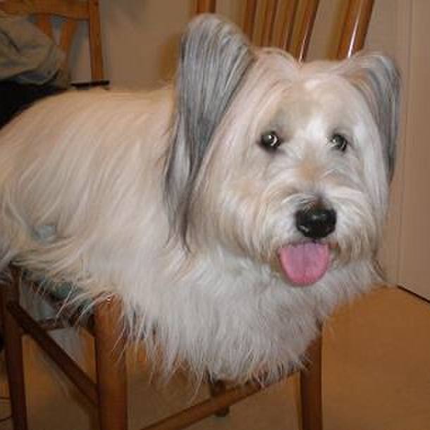 D1ae5d78 7ffe 4f6b ac6b 28078b809ba6