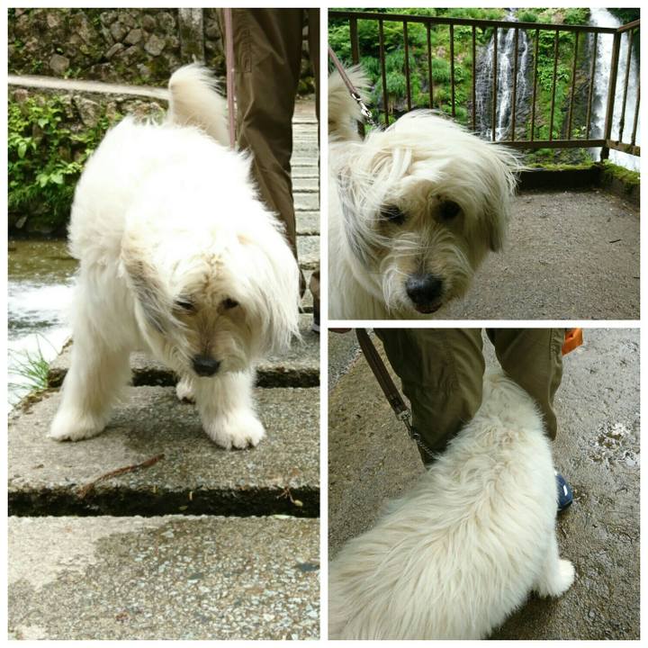 D1af2cf0 5e9b 47e7 bb1d 373f01f25fcf