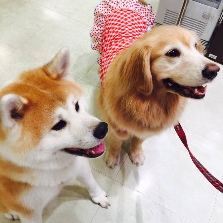 D1afa6b1 55c6 4cea 8f62 28b20719ab64