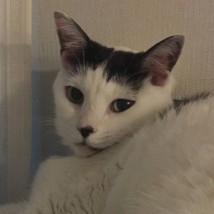 D1b0b245 9f2b 4b77 b22a 55d1e1c62b34