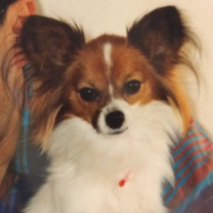 D1b0c28d 3b86 4bde a3d0 f58836bc0357