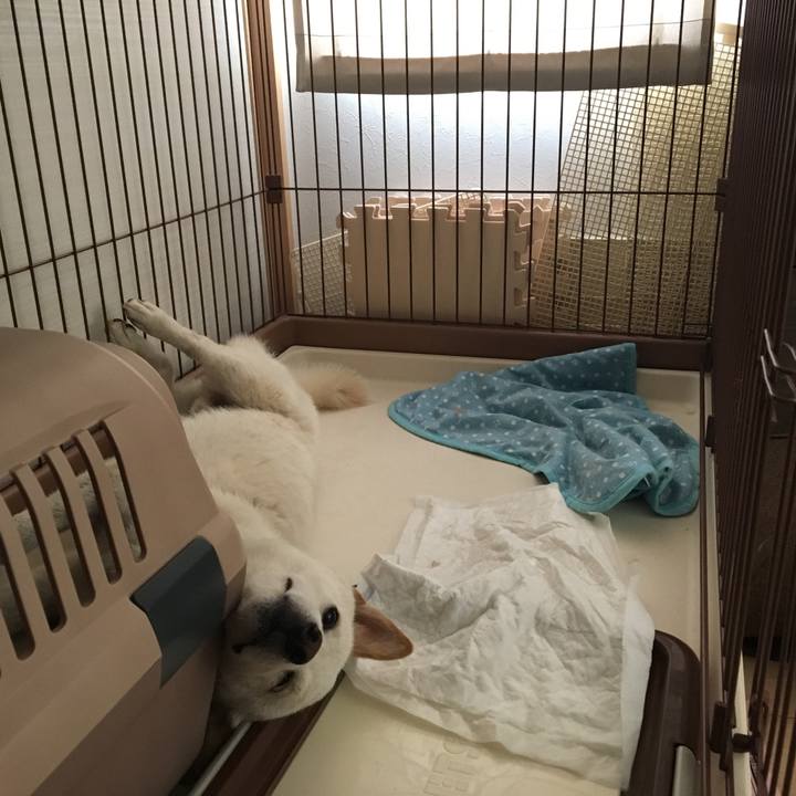 D1b15c5f fcdd 4055 9a2b 8b6e9f034078