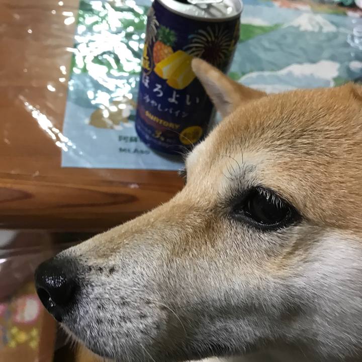 D1b2039e d42d 4baf 8a25 81f2a891417d