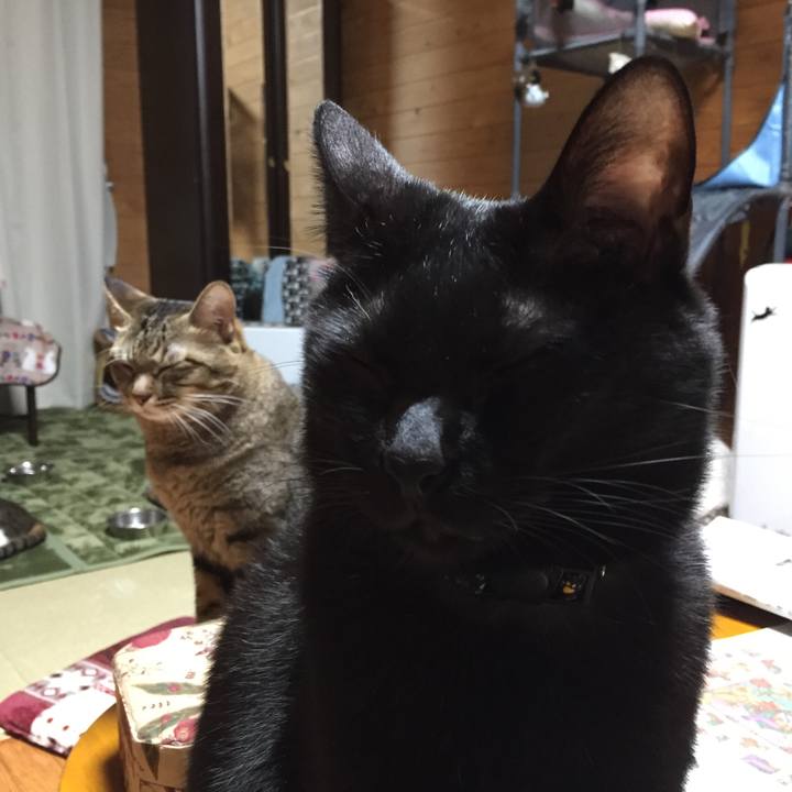 D1b2226c 02c3 4ff9 aaa9 de6a552e56d1