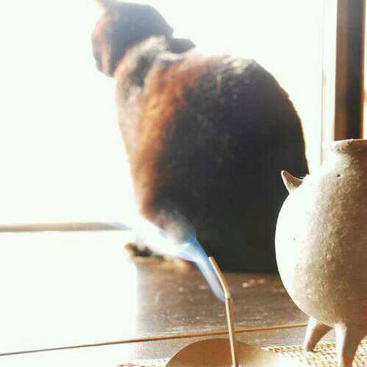 D1b22cee 1adc 45d3 b18e b9094571f5cf