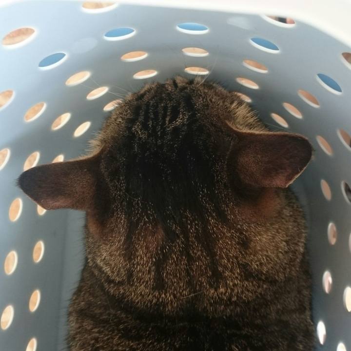 D1b25292 bb37 4a39 865e 5856fdd2c724