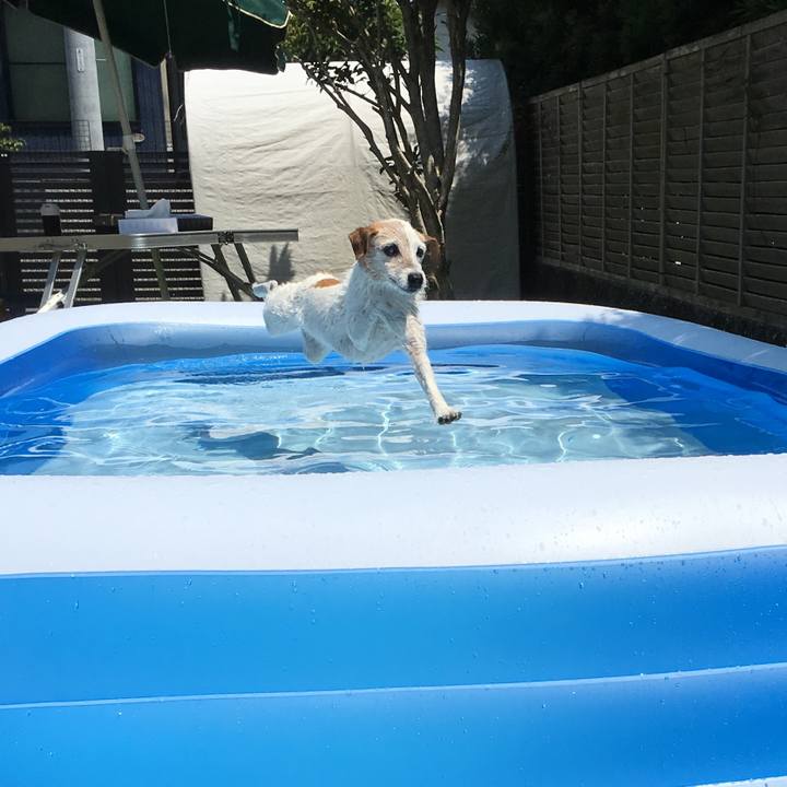 D1b27efd e609 46b3 81f0 287e556bfa3a