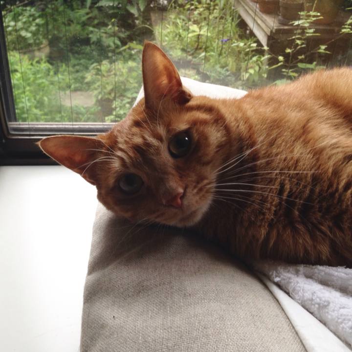 D1b33f41 a7cb 4456 9eee 6acdf2f47886