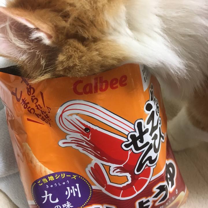 D1b459ea 5b37 4013 8249 5f89da30bc13