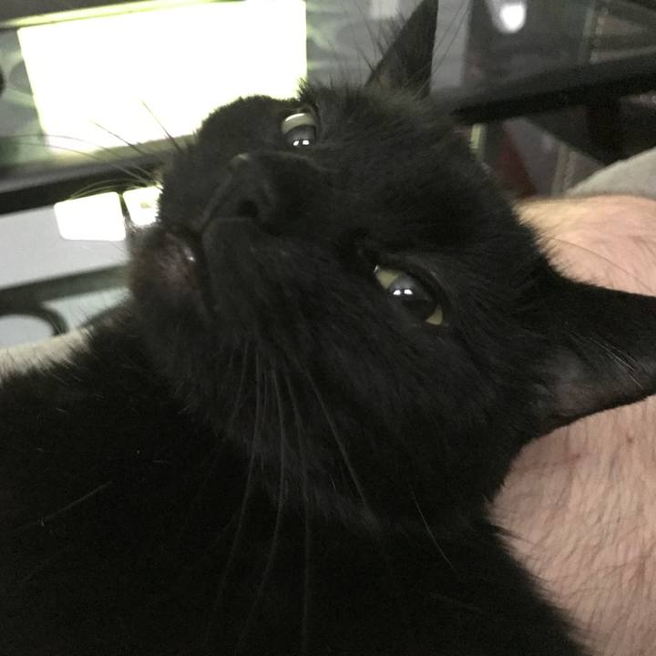 D1b5be9b efd1 4449 9135 561ea03f0f2a