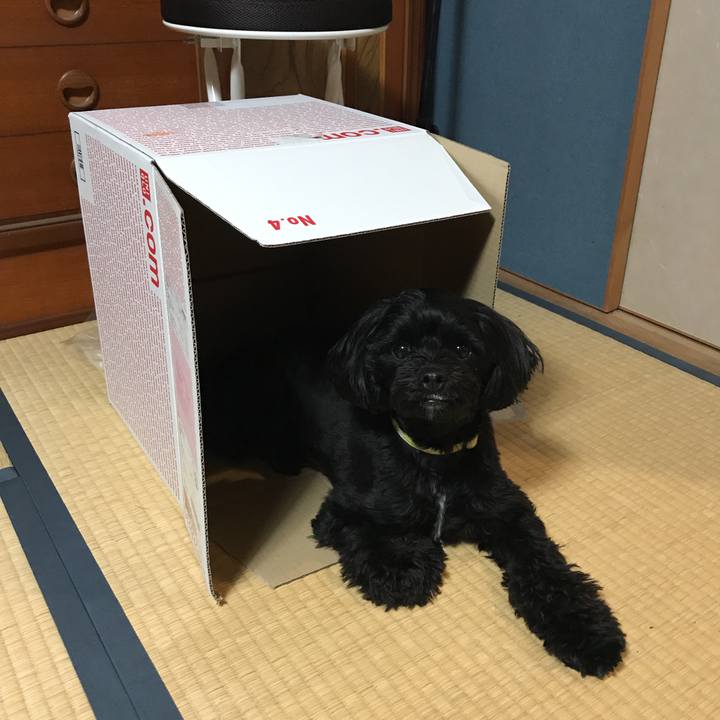 D1b607f3 47ee 4cff 91e5 41a193219e34