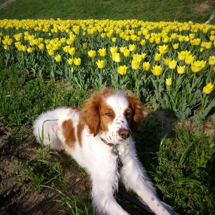 D1b62253 6de9 4870 b1ab 40faad7dba76