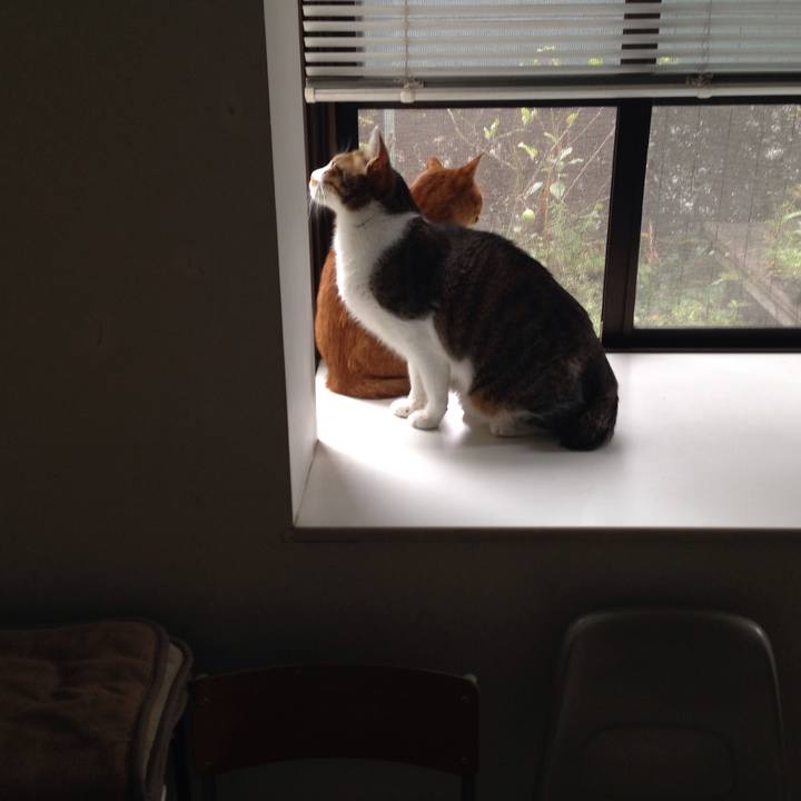 D1b69856 a3d5 4e1c 9360 cbdf64d5cfb5