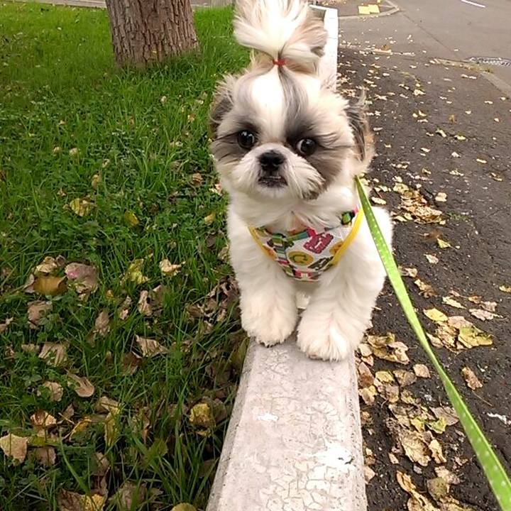 D1b75de4 818b 47d8 b18a 7c3a54094f53