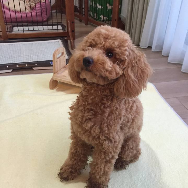 D1b7767c 71c4 4cb3 a425 8ba85547cf10