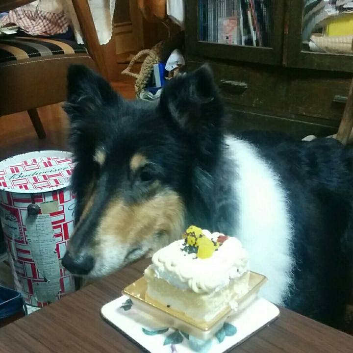 D1b96598 5464 4eb7 867e 2675a774e5b7