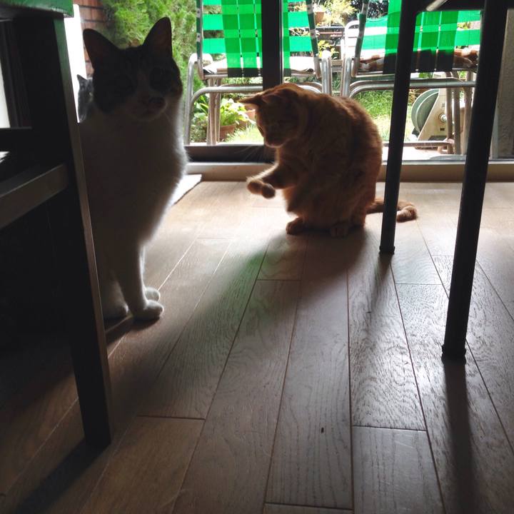 D1b97850 75e9 4a50 b82f 59e6cd856063