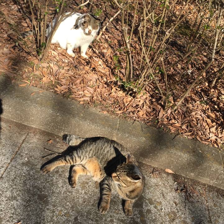 D1ba6397 7f11 4083 b3a0 4feb8cfb04c8