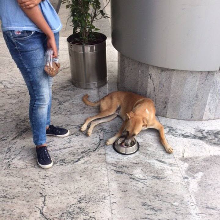 D1bb7555 bf66 4062 ac11 90672003697c