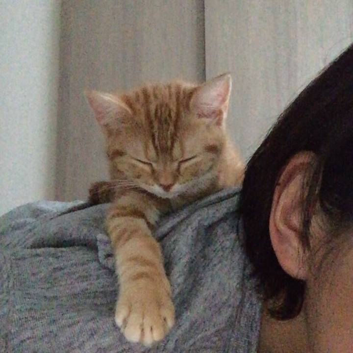 D1bb93ec cdf0 4e11 a29f 592167dd8cf2