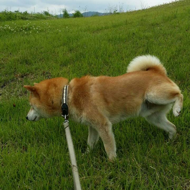 D1bbd102 ca5f 41e0 8394 a63effb5d6c0