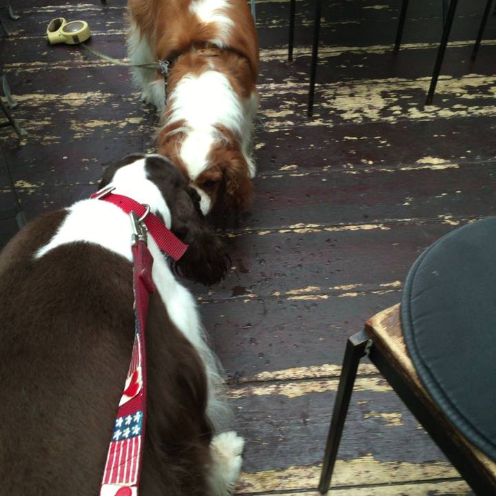 D1bcb532 0310 4374 b4a8 94a3cad0ca28