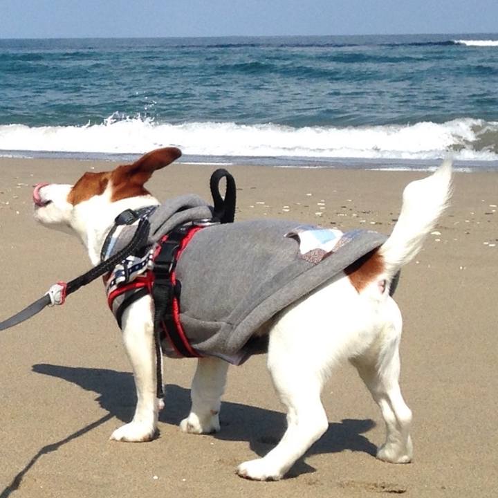 D1bcdca7 155c 47b1 b11a 32bc2705e7be