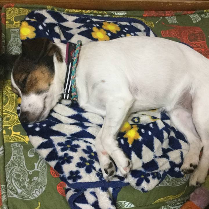 D1bcf2d6 2699 491c acdd fd373122d303