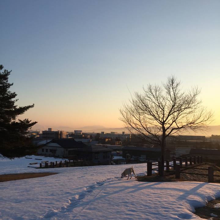 D1bd01db 0952 4cfc a020 a5bbcb11e83a