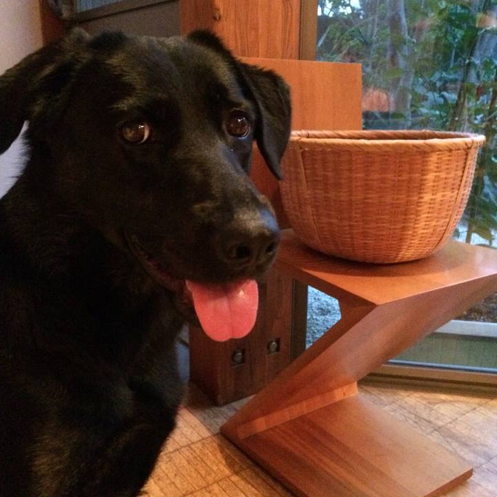 D1bd0d19 a3c3 4d9b 87d8 b5d126311818