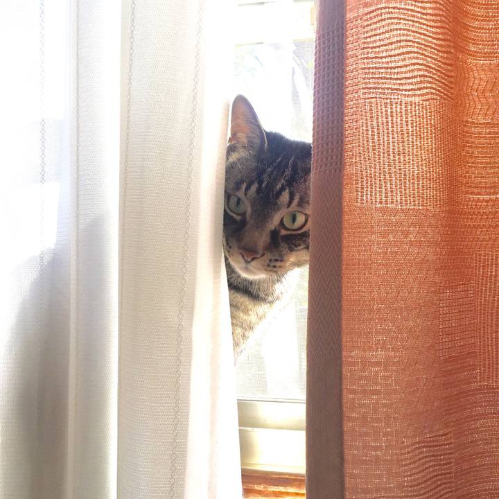 D1bdf4d8 a01e 42af 8597 46dbabd90a48